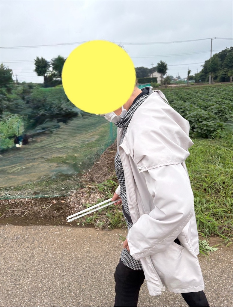 f:id:vivieng-me:20260708065310j:image