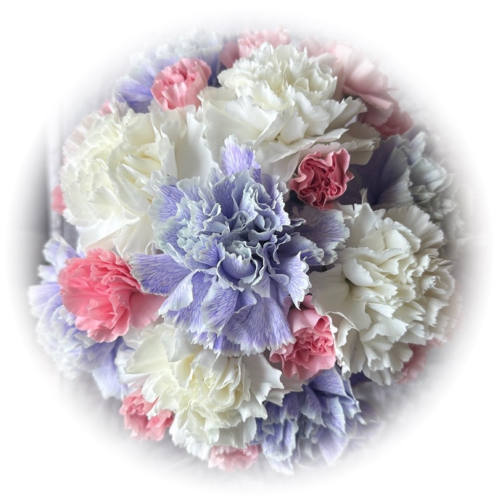 f:id:vivieng-me:20260715162317j:image f:id:vivieng-me:20260715162317j:image