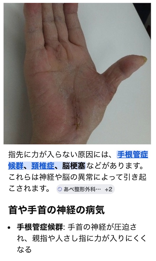 f:id:vivieng-me:20260722232714j:image f:id:vivieng-me:20260722232714j:image