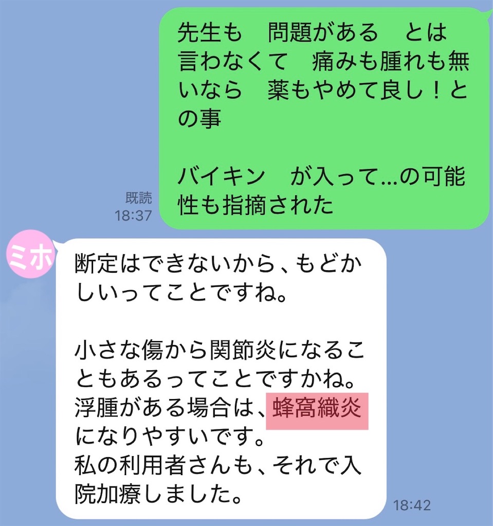 f:id:vivieng-me:20260812175609j:image f:id:vivieng-me:20260812175609j:image