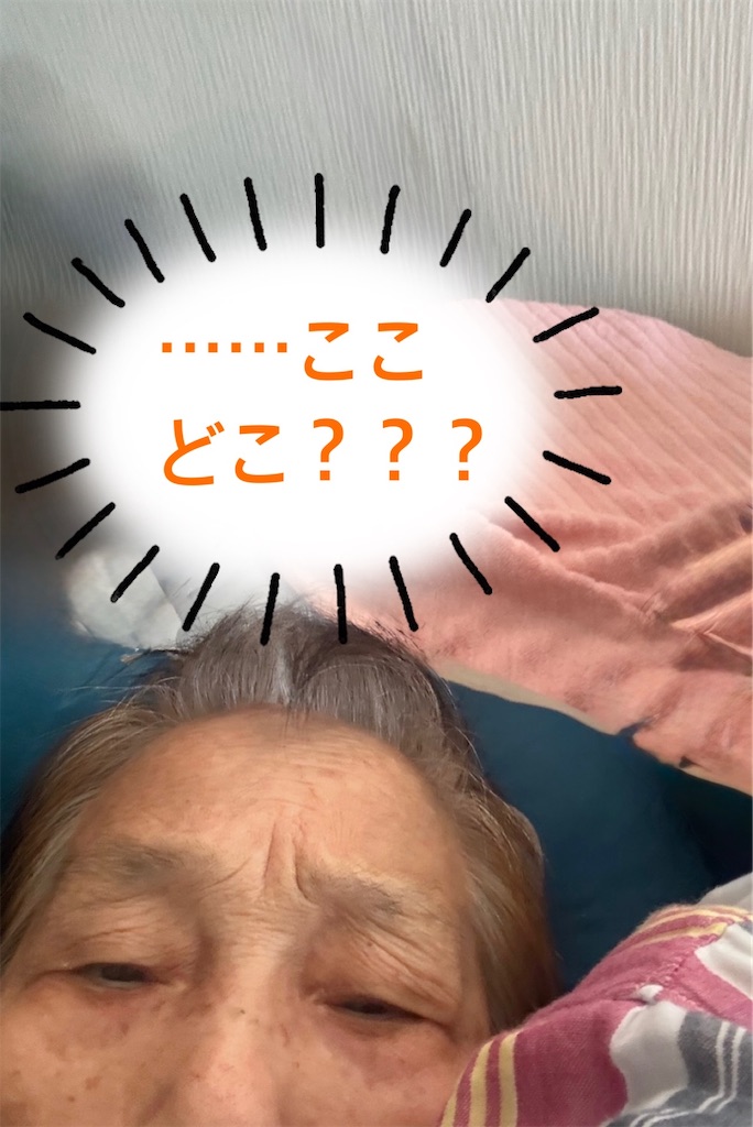 f:id:vivieng-me:20260821123630j:image