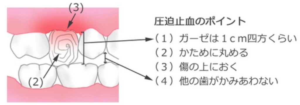 f:id:vivieng-me:20260823173254j:image f:id:vivieng-me:20260823173254j:image