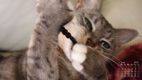 f:id:vivimofu:20120601045555j:image f:id:vivimofu:20120601045555j:image