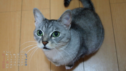 f:id:vivimofu:20120703130050j:image f:id:vivimofu:20120703130050j:image
