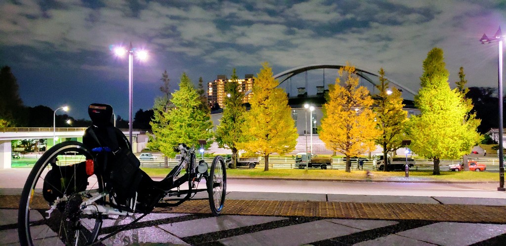 駒沢 公園 自転車