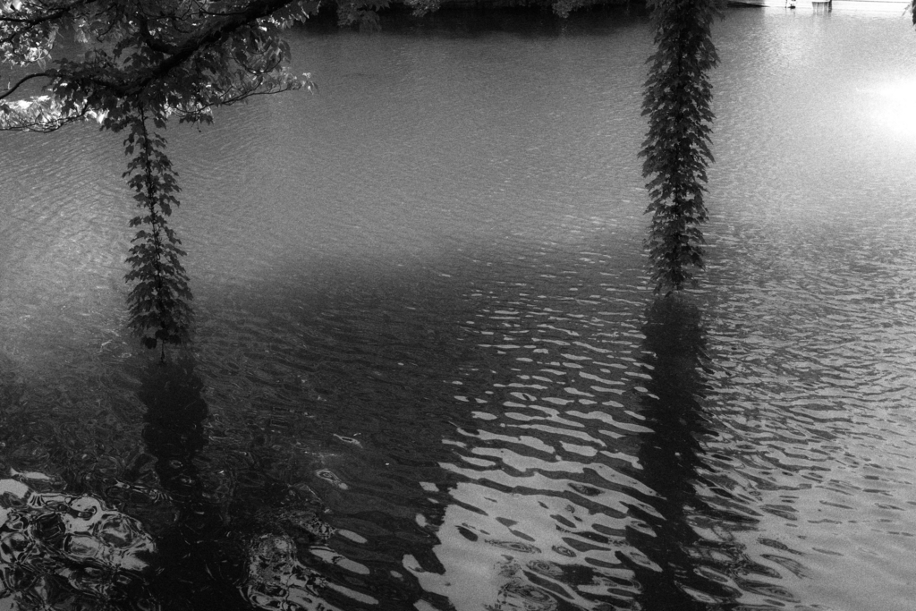 f:id:vl58nf2:20170610170547j:plain f:id:vl58nf2:20170610170547j:plain