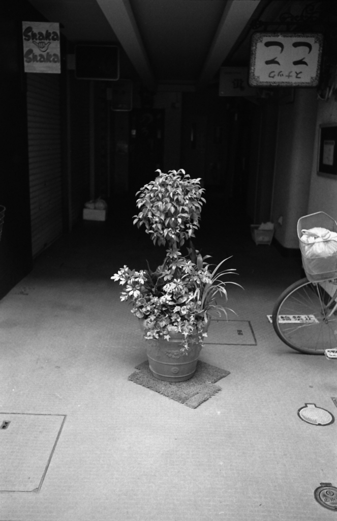 f:id:vl58nf2:20170702182724j:plain f:id:vl58nf2:20170702182724j:plain