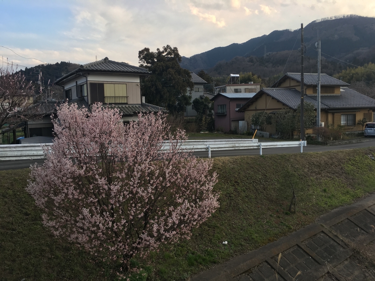 f:id:vlasta:20190318003430j:plain