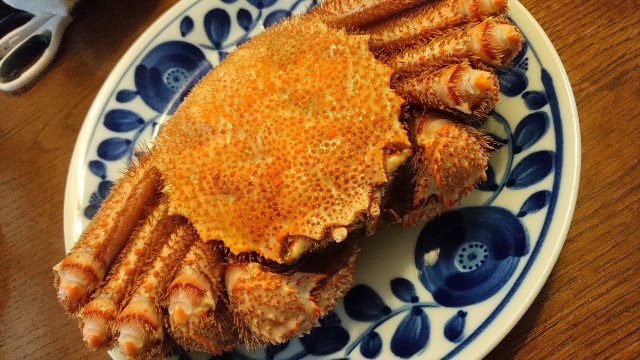 f:id:vlr:20181205035250j:image