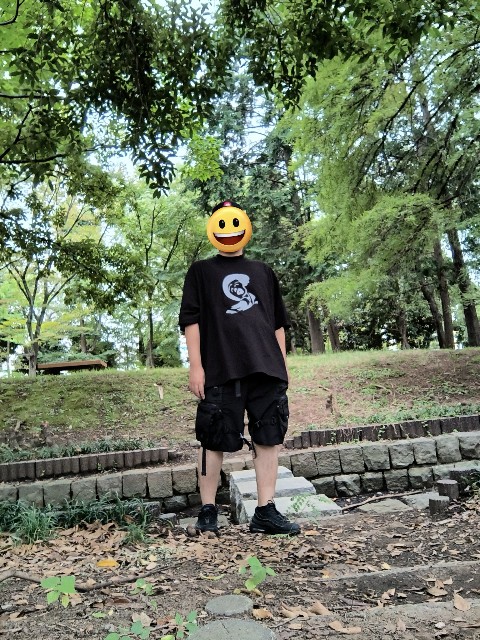 f:id:vlr:20241231192148j:image