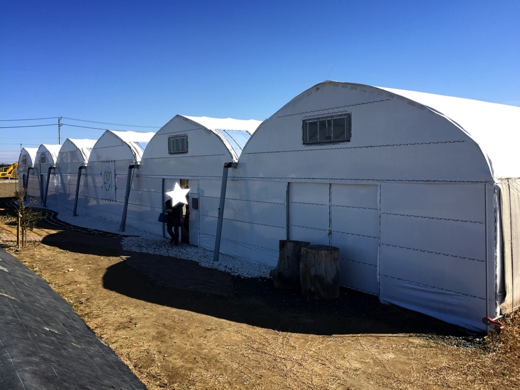 いちご狩り Vm Blog