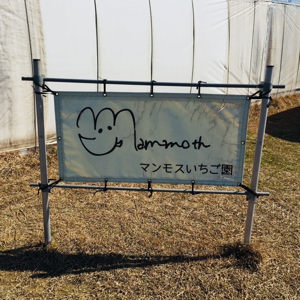 いちご狩り Vm Blog