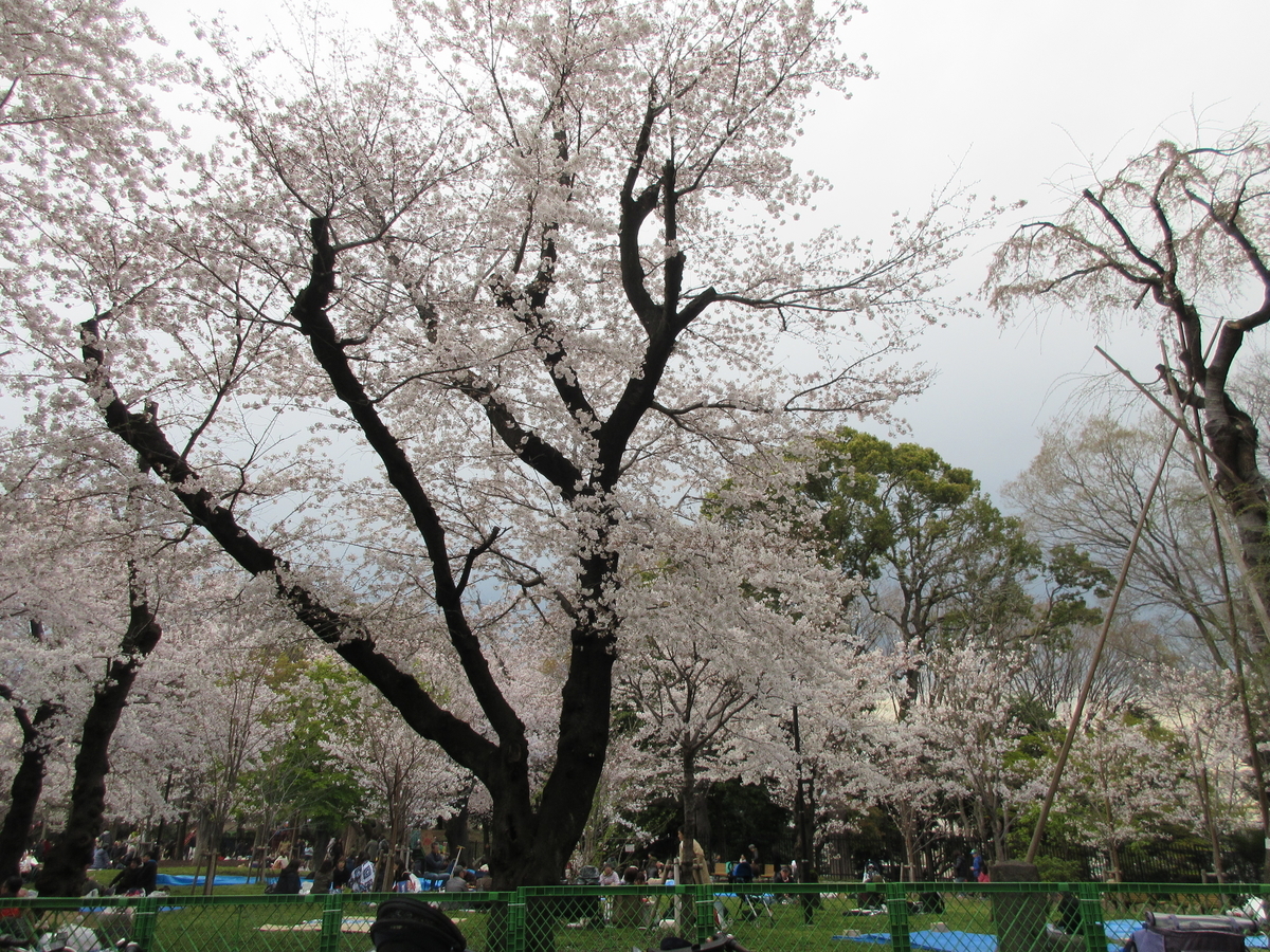 f:id:vmari:20190409114234j:plain f:id:vmari:20190409114234j:plain