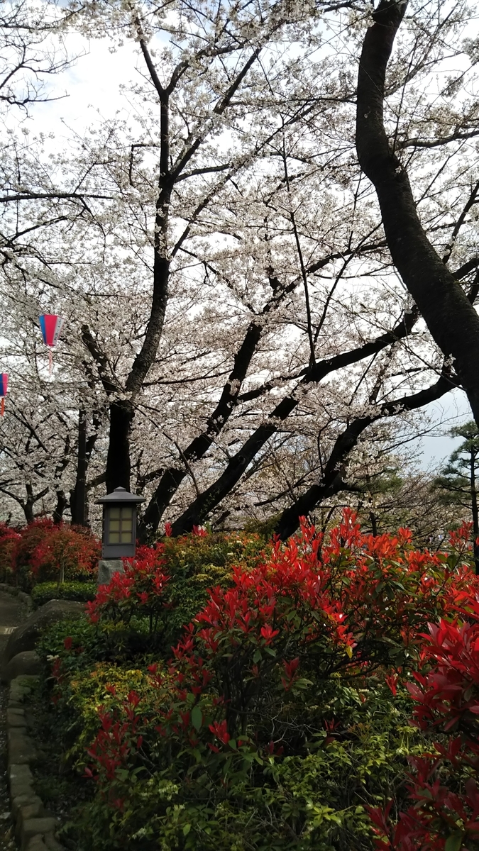 f:id:vmari:20190409123121j:plain f:id:vmari:20190409123121j:plain