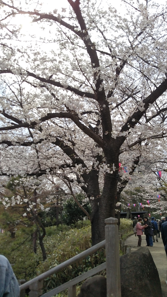 f:id:vmari:20190409123415j:plain f:id:vmari:20190409123415j:plain