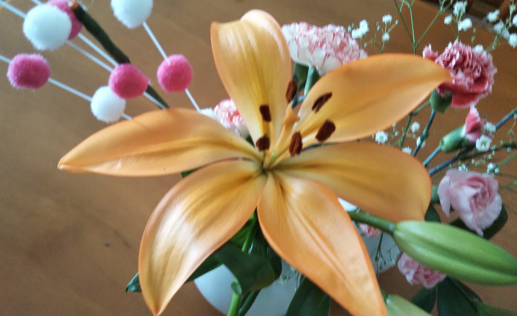 f:id:vmari:20200102172025j:plain f:id:vmari:20200102172025j:plain