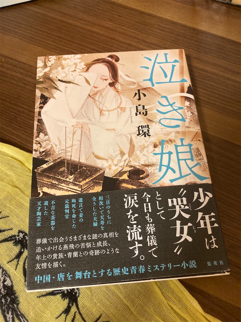 f:id:vmountainbooks:20220414145838j:image