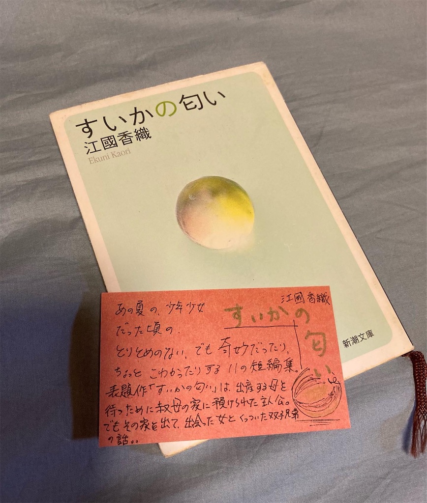 f:id:vmountainbooks:20220720081859j:image