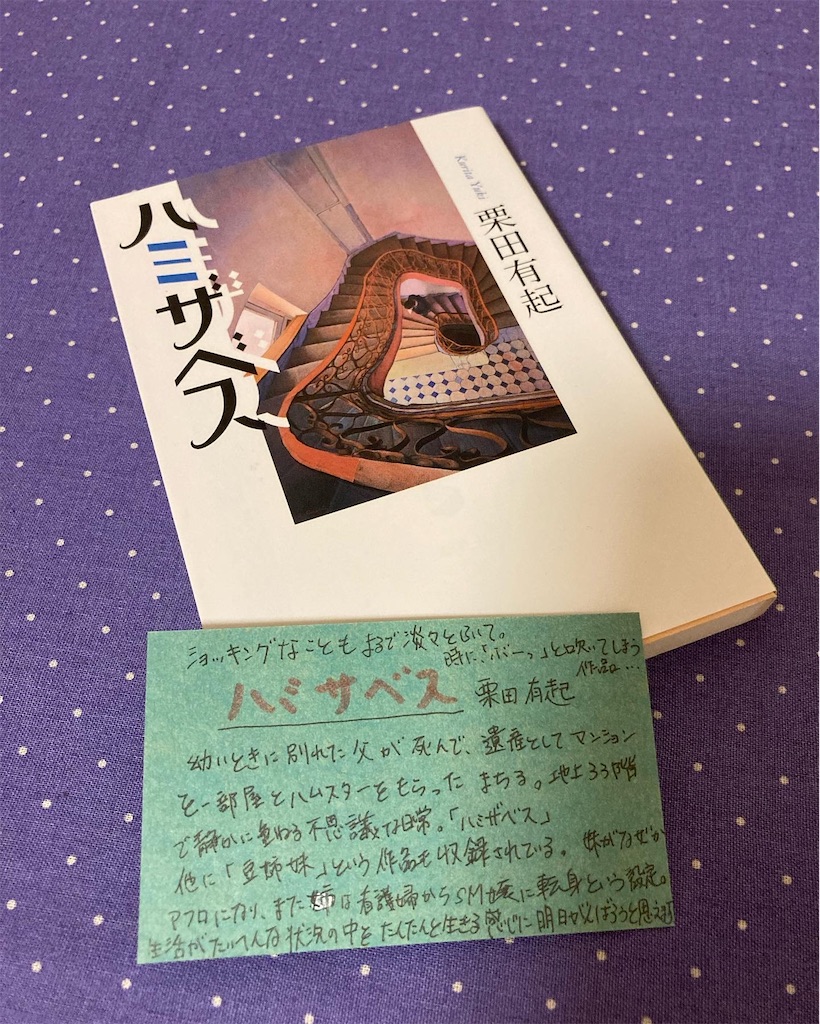 f:id:vmountainbooks:20220912170430j:image