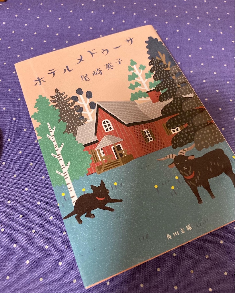 f:id:vmountainbooks:20220918170611j:image