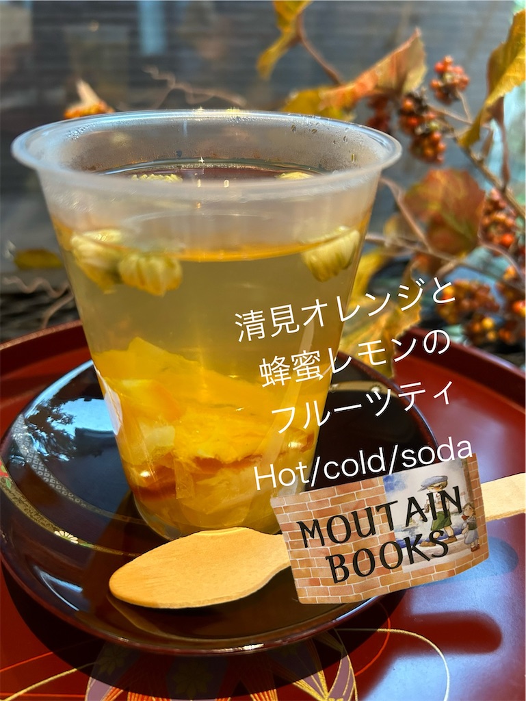 f:id:vmountainbooks:20241119203722j:image f:id:vmountainbooks:20241119203722j:image