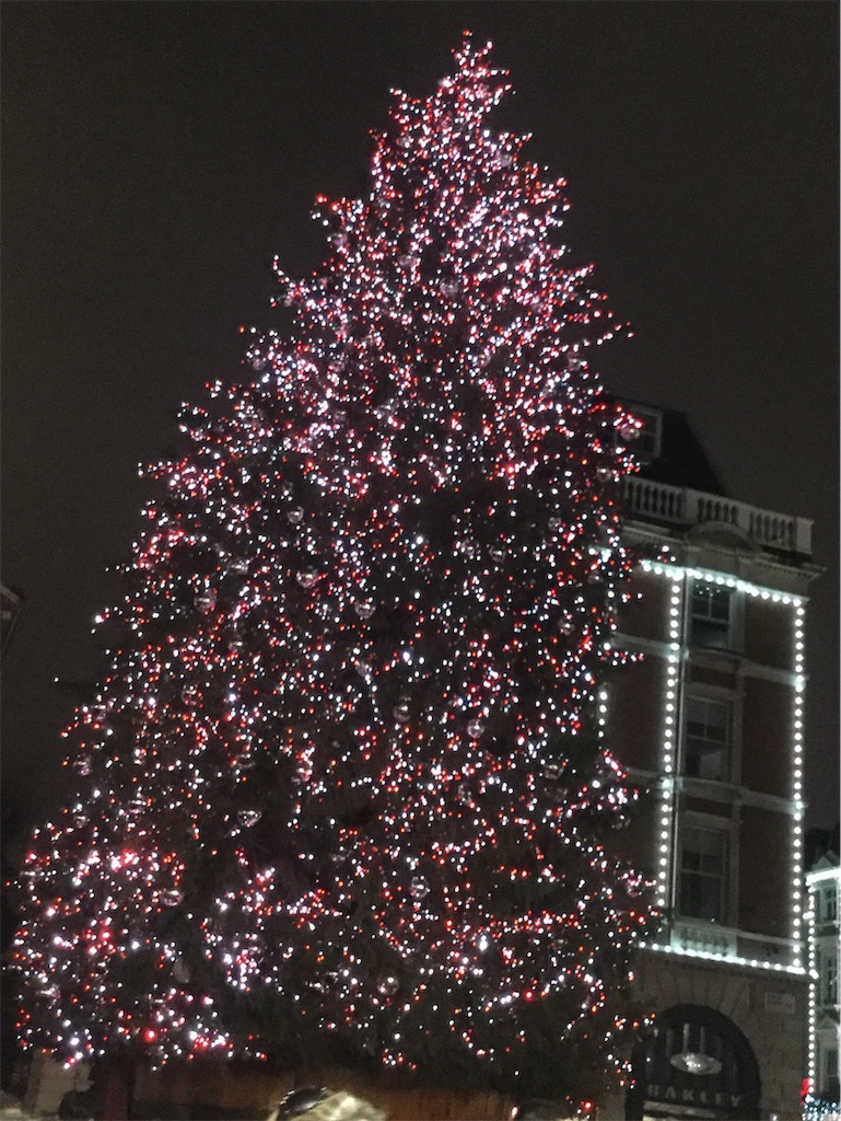 f:id:vnmiyuki:20191211172250j:image