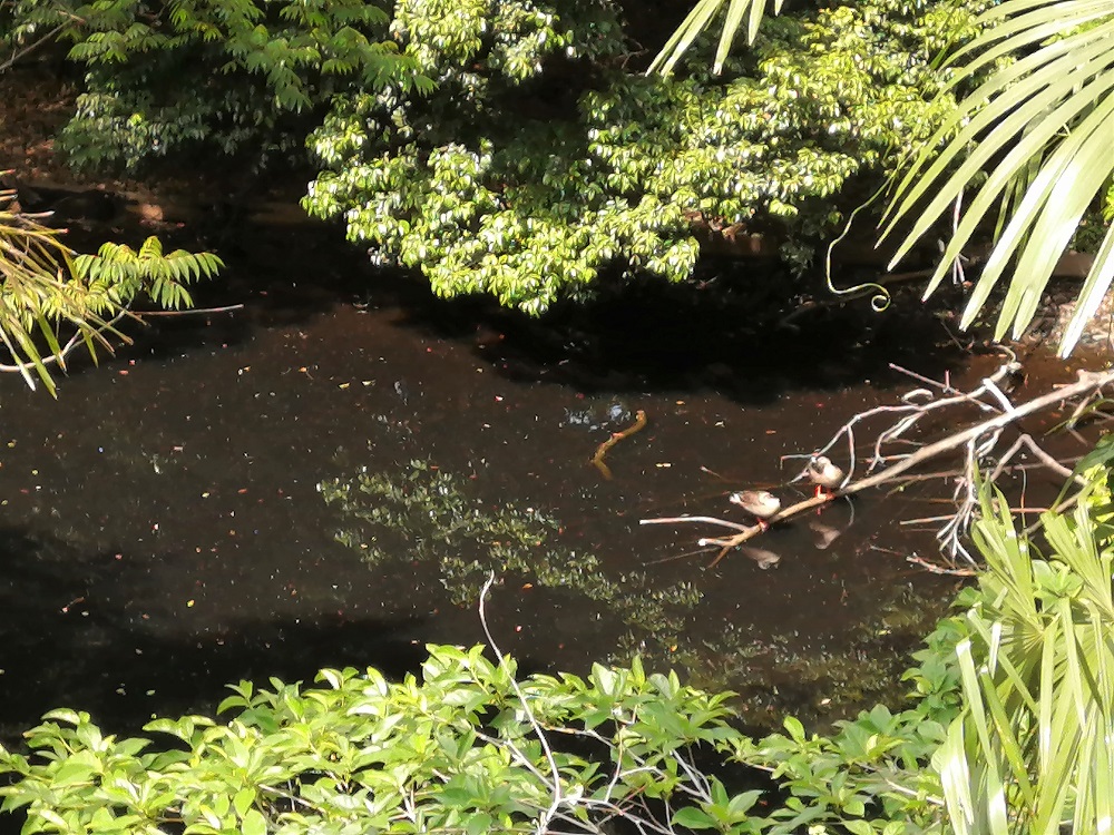 f:id:vo1vo:20210807145412j:plain