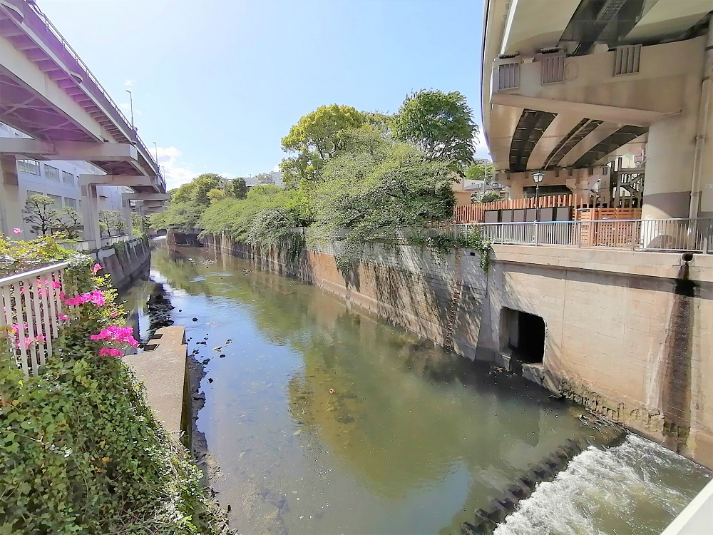 f:id:vo1vo:20210813082205j:plain