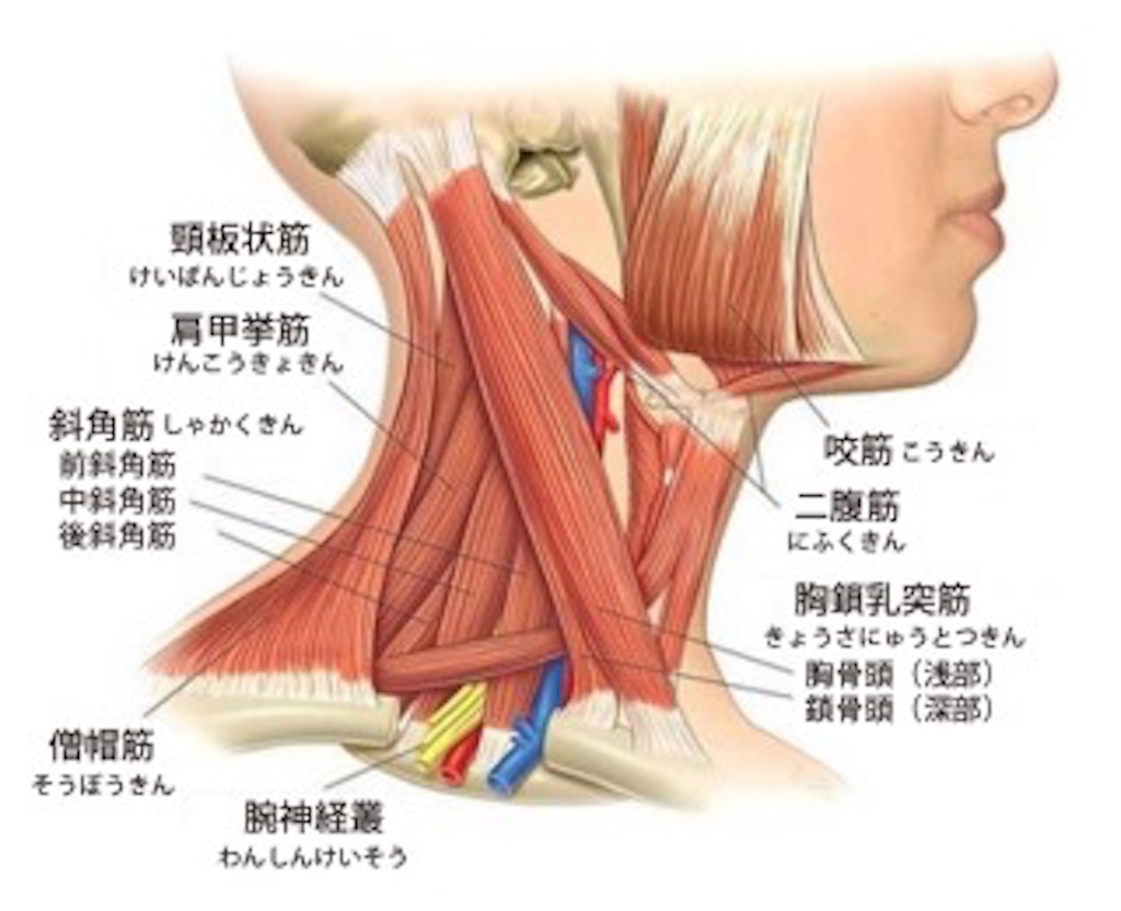f:id:vocalhiro:20200105130137j:image f:id:vocalhiro:20200105130137j:image