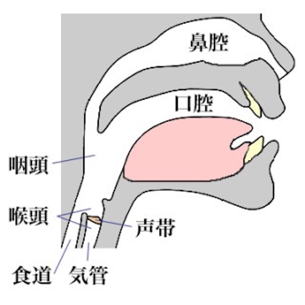f:id:vocalhiro:20200506174928j:image f:id:vocalhiro:20200506174928j:image