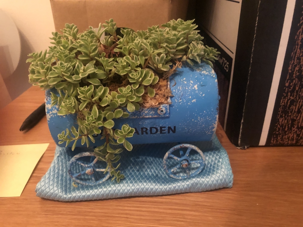f:id:voici-spontex:20190407185548j:plain f:id:voici-spontex:20190407185548j:plain
