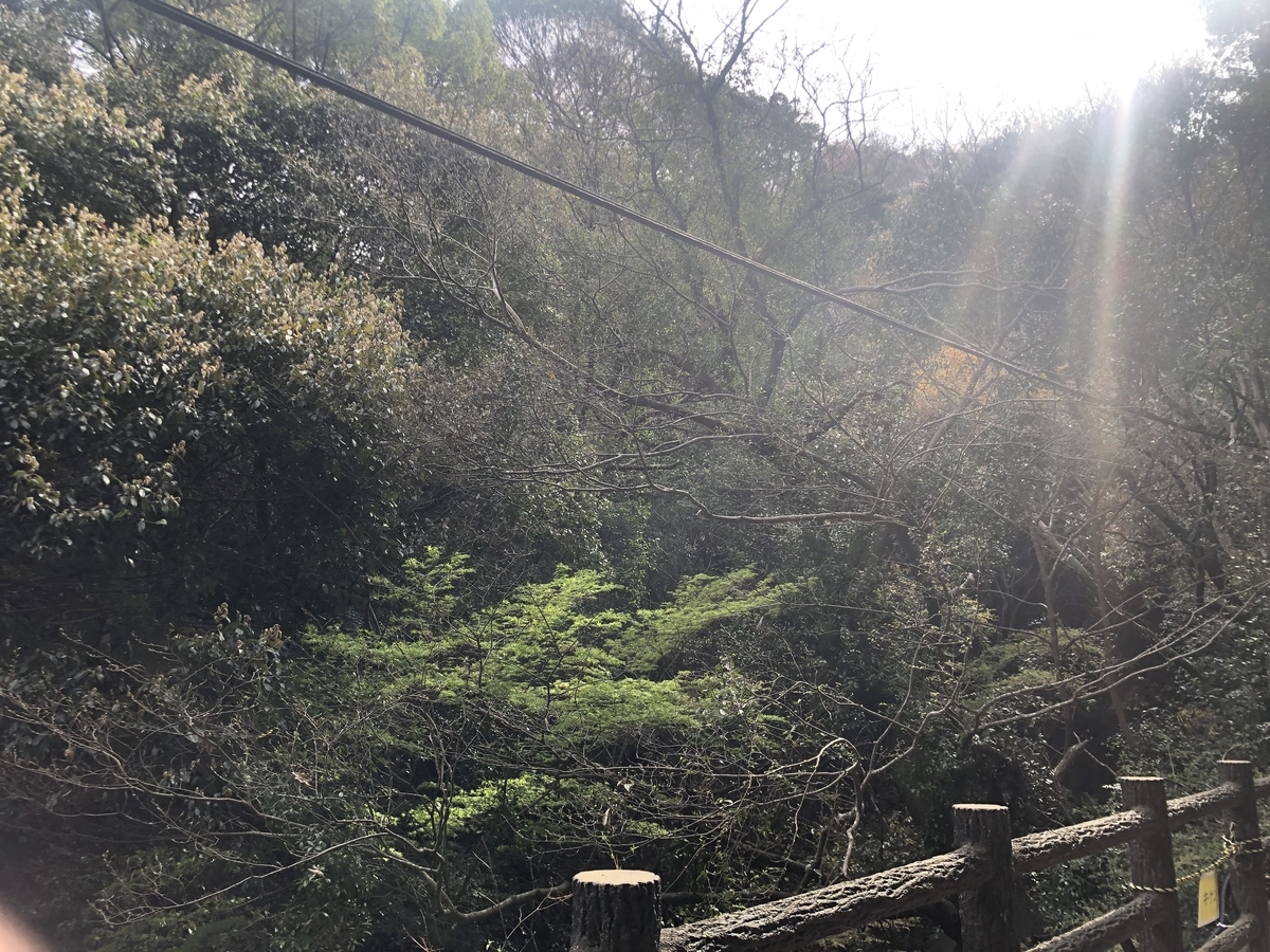 f:id:voici-spontex:20190413154719j:plain f:id:voici-spontex:20190413154719j:plain