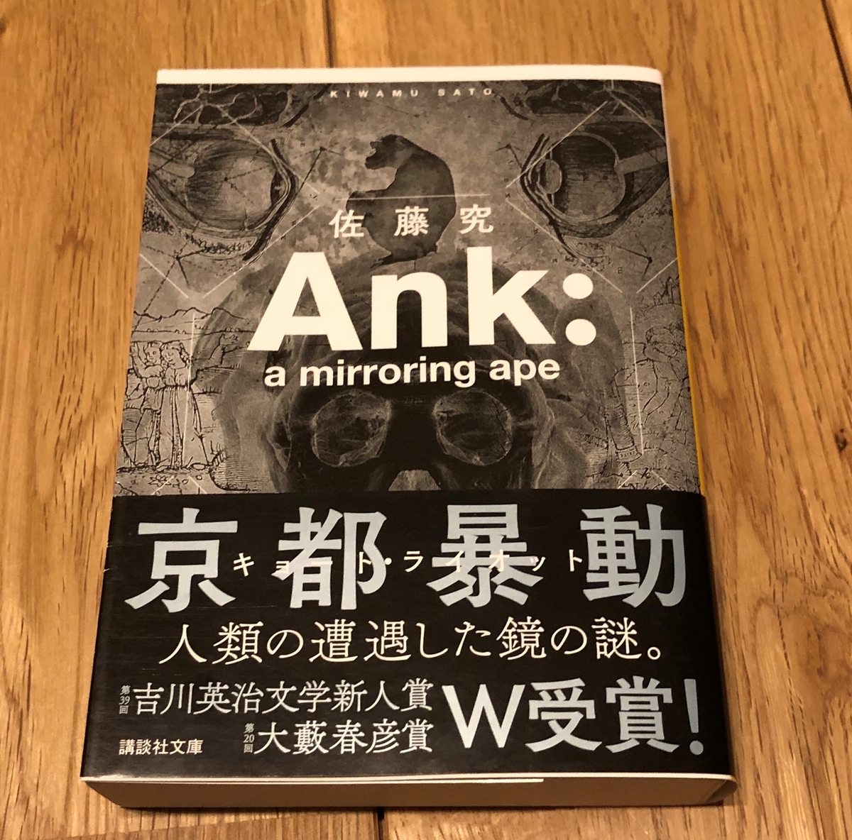 Ank：a mirroring apeの文庫本の表紙