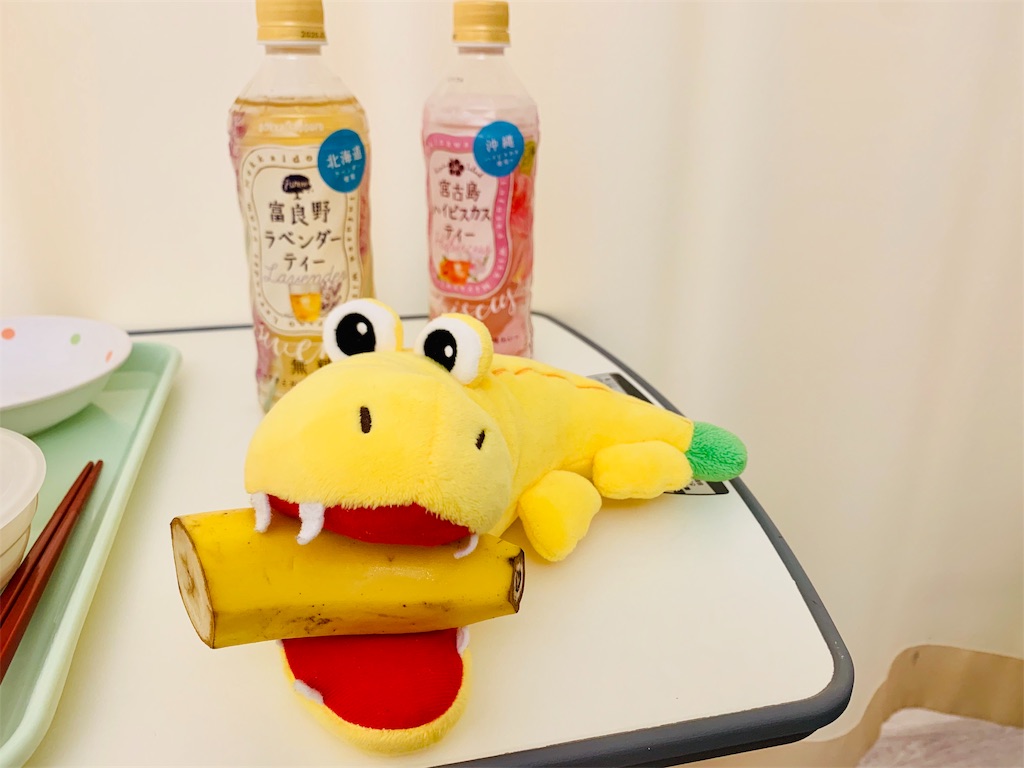 f:id:voir-en-rose:20190821205459j:image