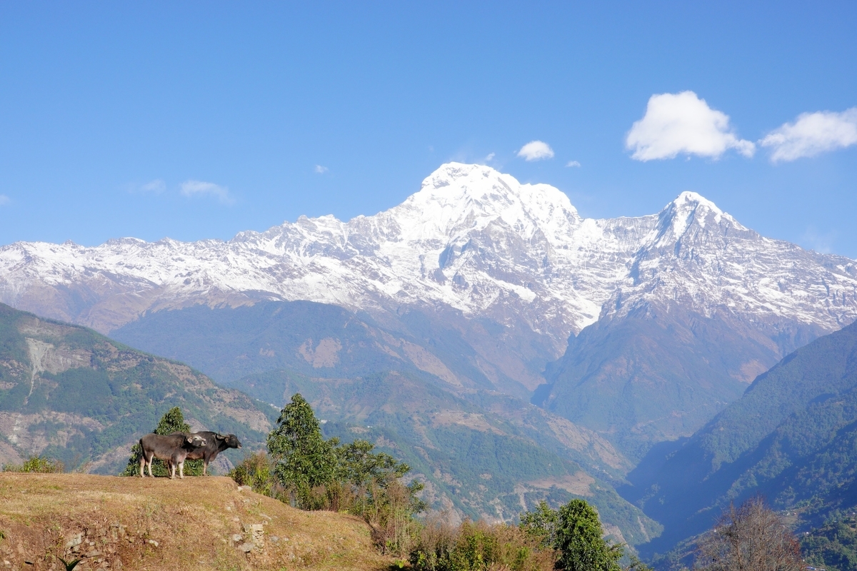 ネパール山歩き〜ヒマラヤを臨む2泊3日のハイキング（よぼよぼ牛歩隊