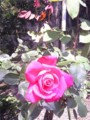 20100509020820