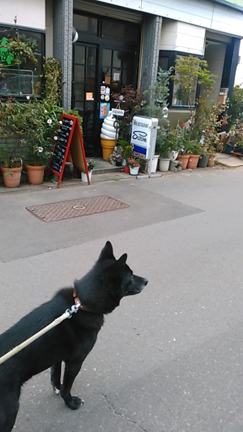 f:id:volvoISHIKARI:20191116171326j:plain