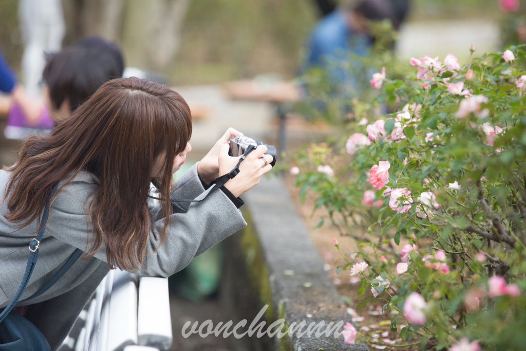 f:id:vonchannn:20171023122015j:plain f:id:vonchannn:20171023122015j:plain