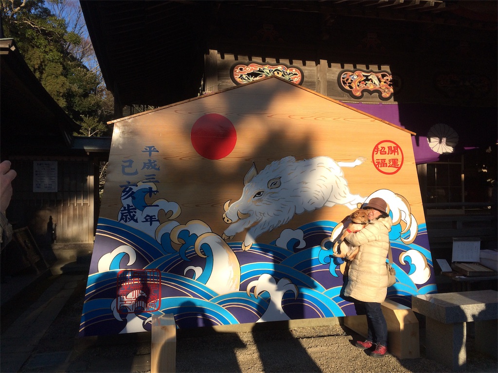 f:id:vono_vono_lo:20190116222302j:image