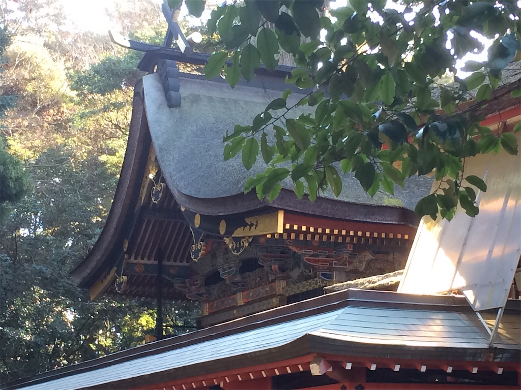 f:id:vono_vono_lo:20190116222437j:image