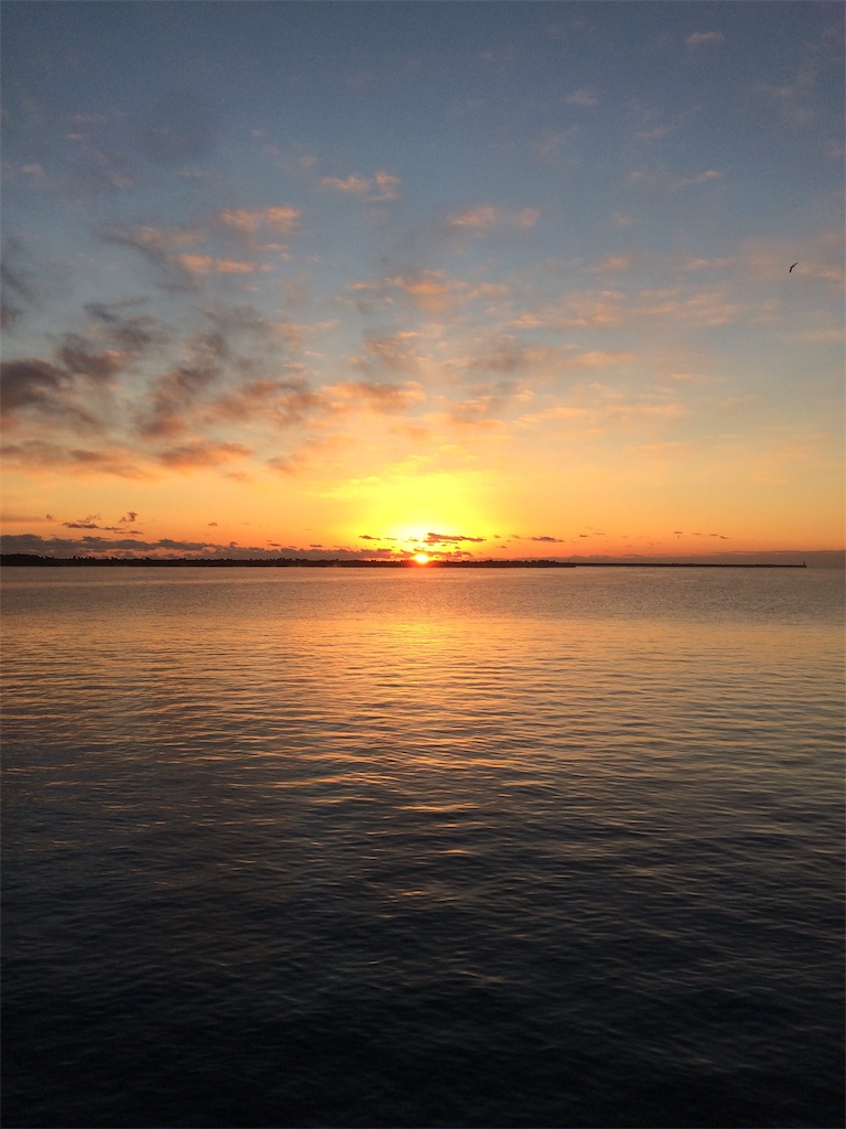 f:id:vono_vono_lo:20190116223409j:image