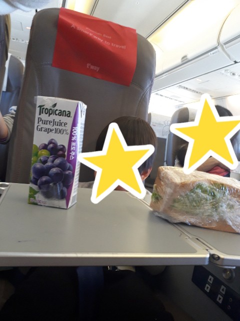 f:id:voyage123:20190309190619j:image f:id:voyage123:20190309190619j:image