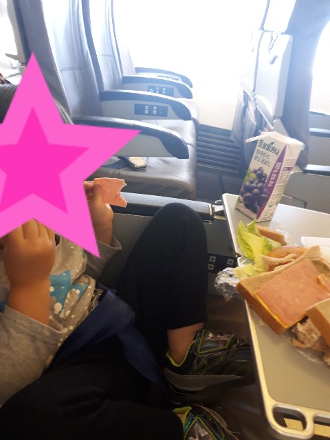 f:id:voyage123:20190309191043j:image f:id:voyage123:20190309191043j:image
