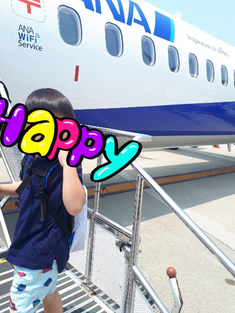 f:id:voyage123:20190626115545j:image f:id:voyage123:20190626115545j:image