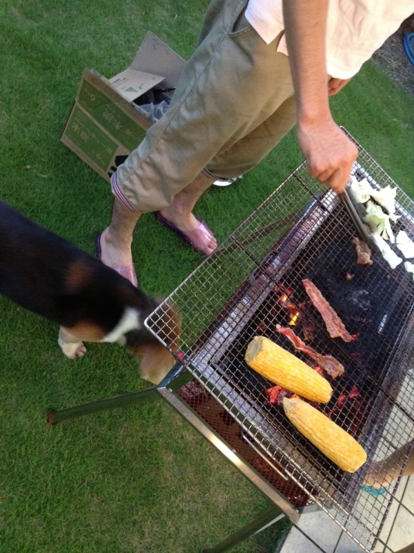 f:id:voyager2009:20120825182830j:image f:id:voyager2009:20120825182830j:image