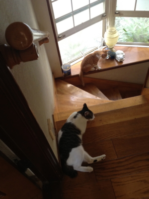 f:id:voyager2009:20120907084202j:image f:id:voyager2009:20120907084202j:image