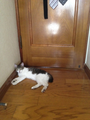 f:id:voyager2009:20120908102233j:image f:id:voyager2009:20120908102233j:image