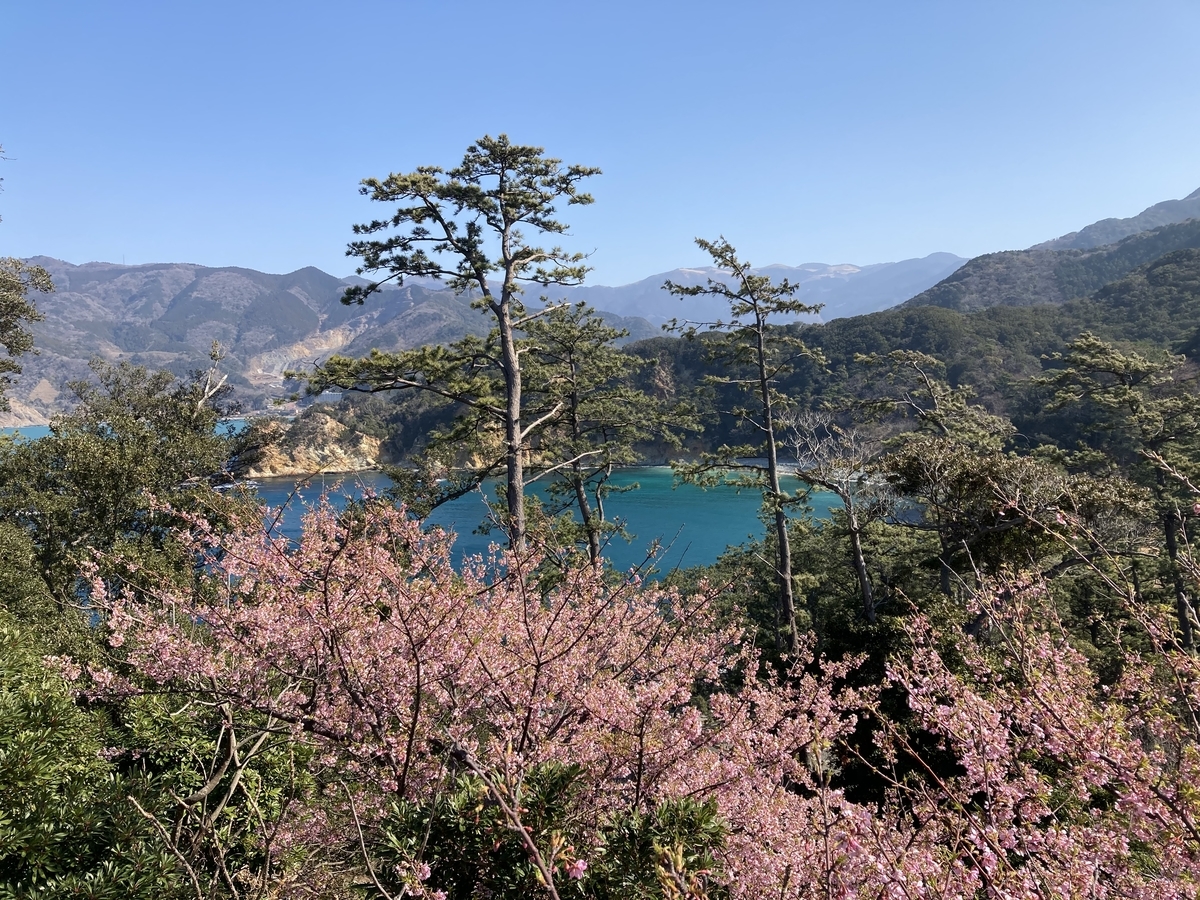 f:id:vrcycling:20210308204737j:plain