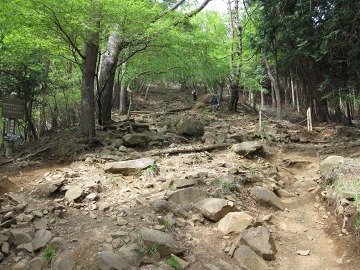 minitabi2010-18-6787