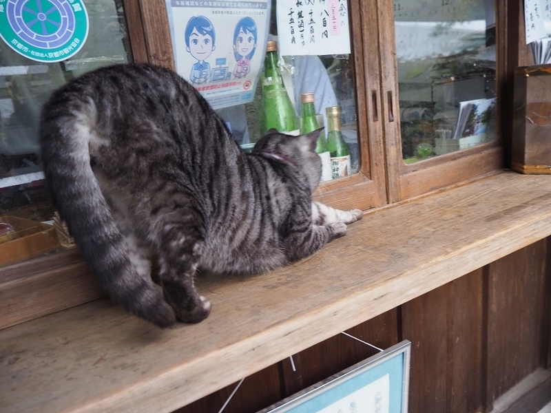 f:id:vrg:20191217134525j:plain